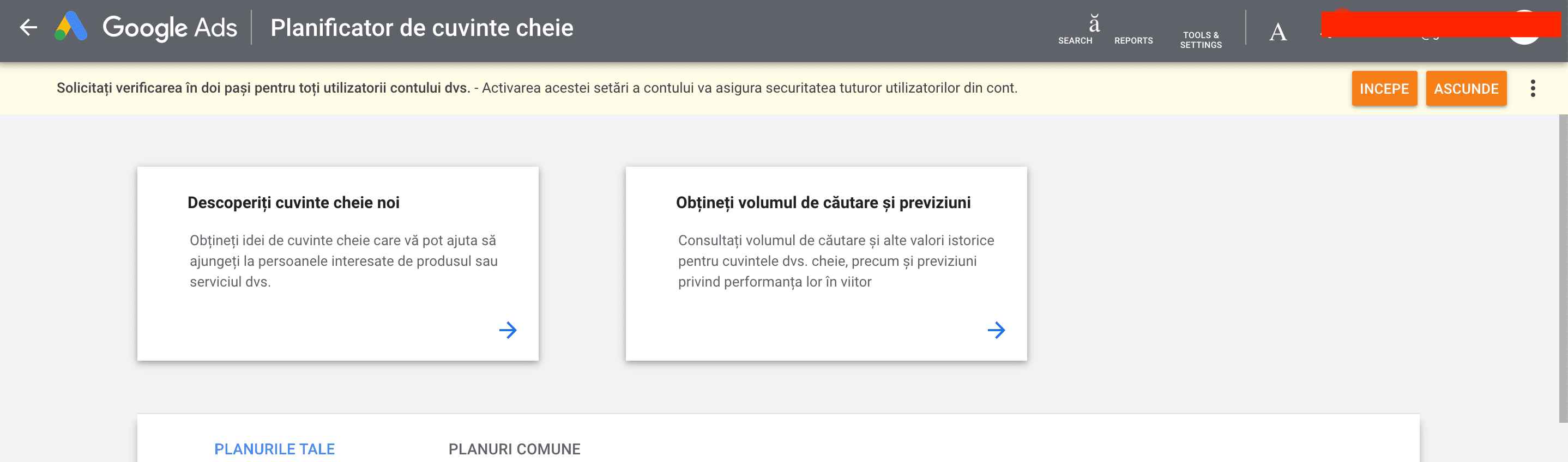 descopera cuvinte cheie noi