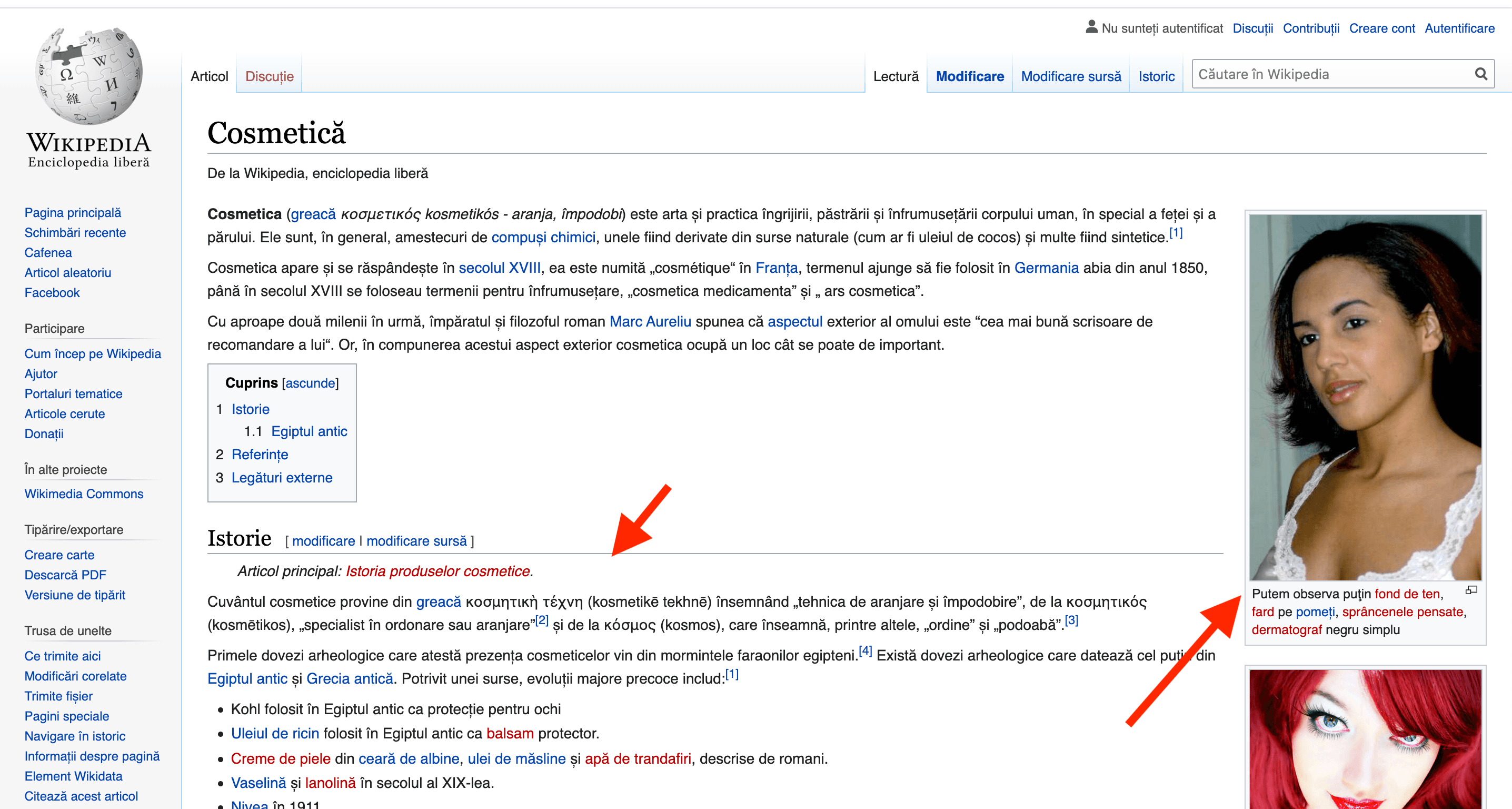 linkuri interne wikipedia