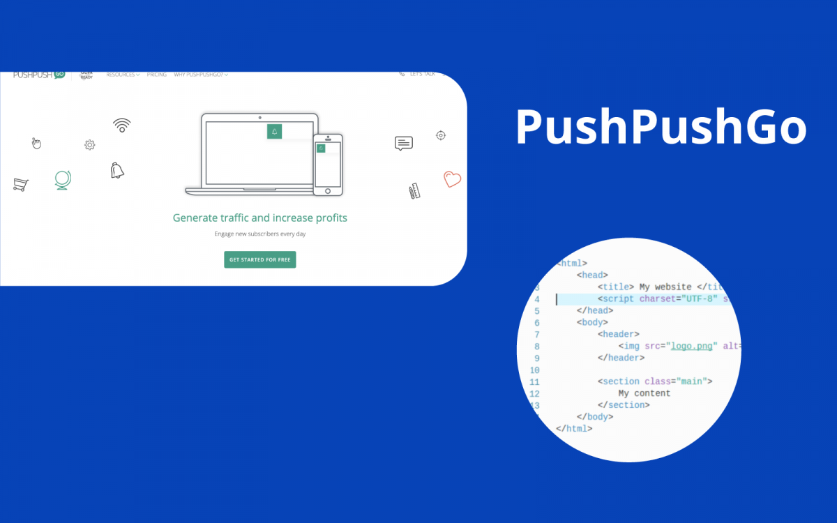 pushpushgo review